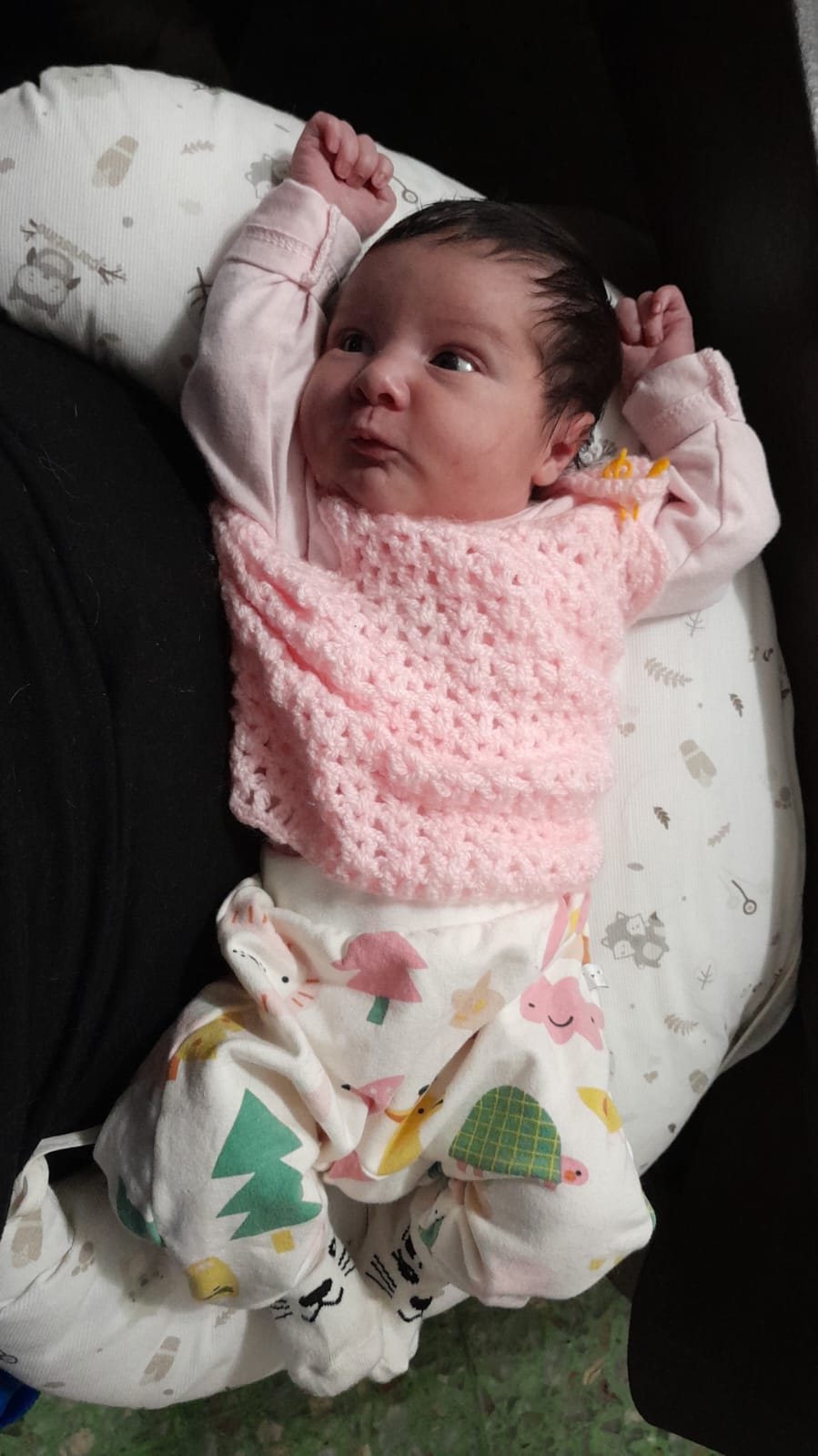 WhatsApp Image 2024-08-08 at 12.41.04.jpeg